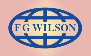 ✓ FG-Wilson MGS6301/HB Запчасти Перкинс / Вилсон 